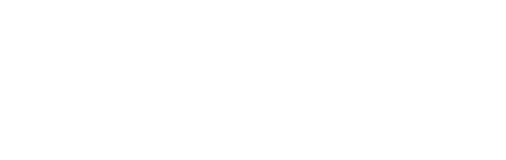 DIRK BUSCH Logo